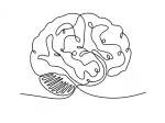 brain line art