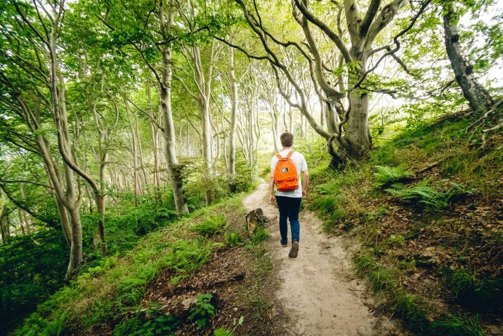 Person walking on a forest path, representing occupational therapy for resilience through small, grounding steps in nature.