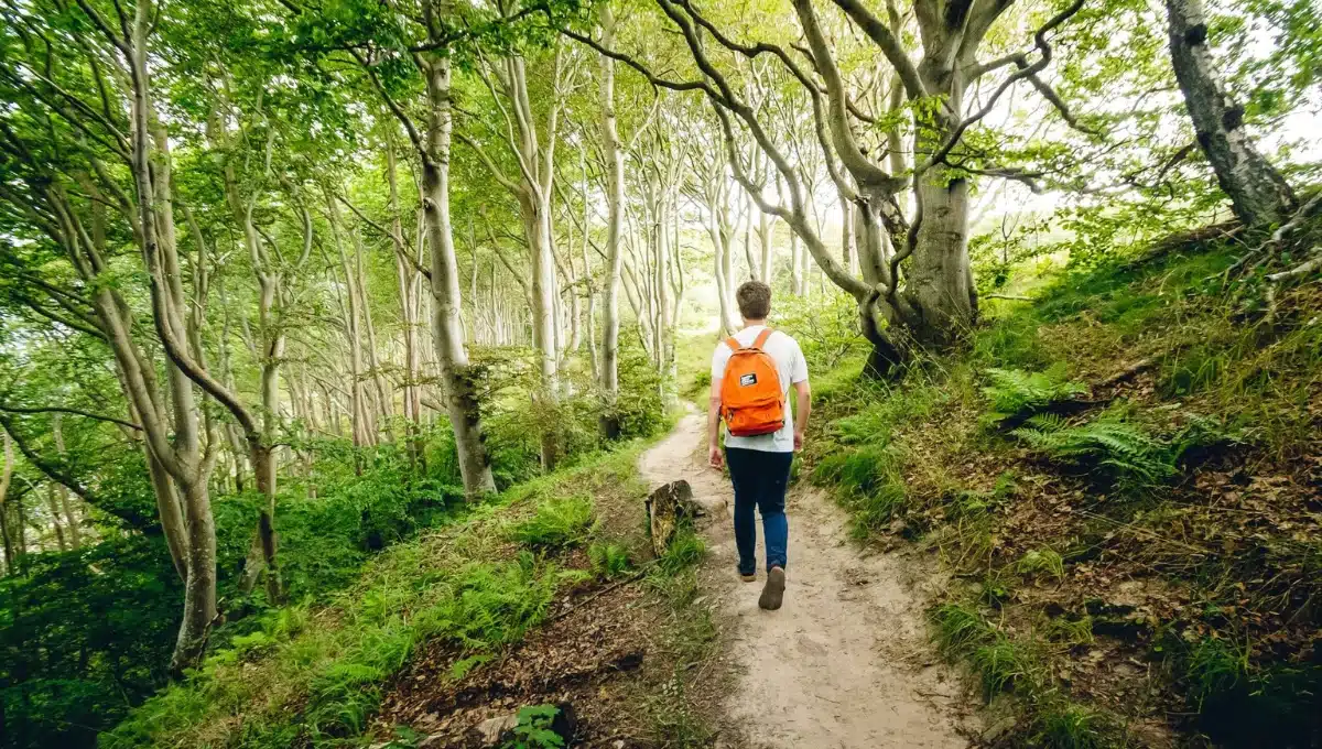 Person walking on a forest path, representing occupational therapy for resilience through small, grounding steps in nature.