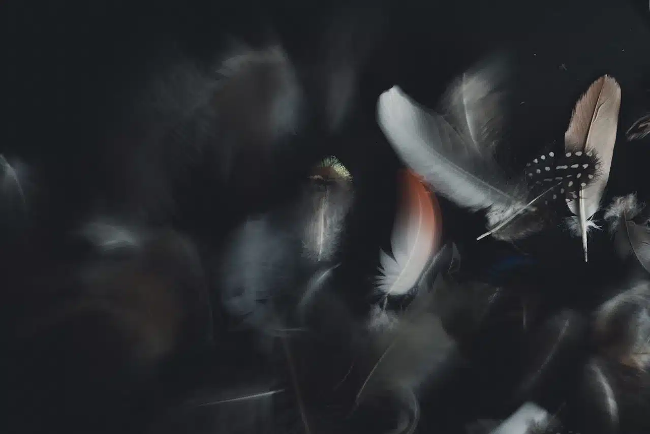 Soft feathers moving in darkness, representing emotional release, resilience, and recovery in trauma therapy.