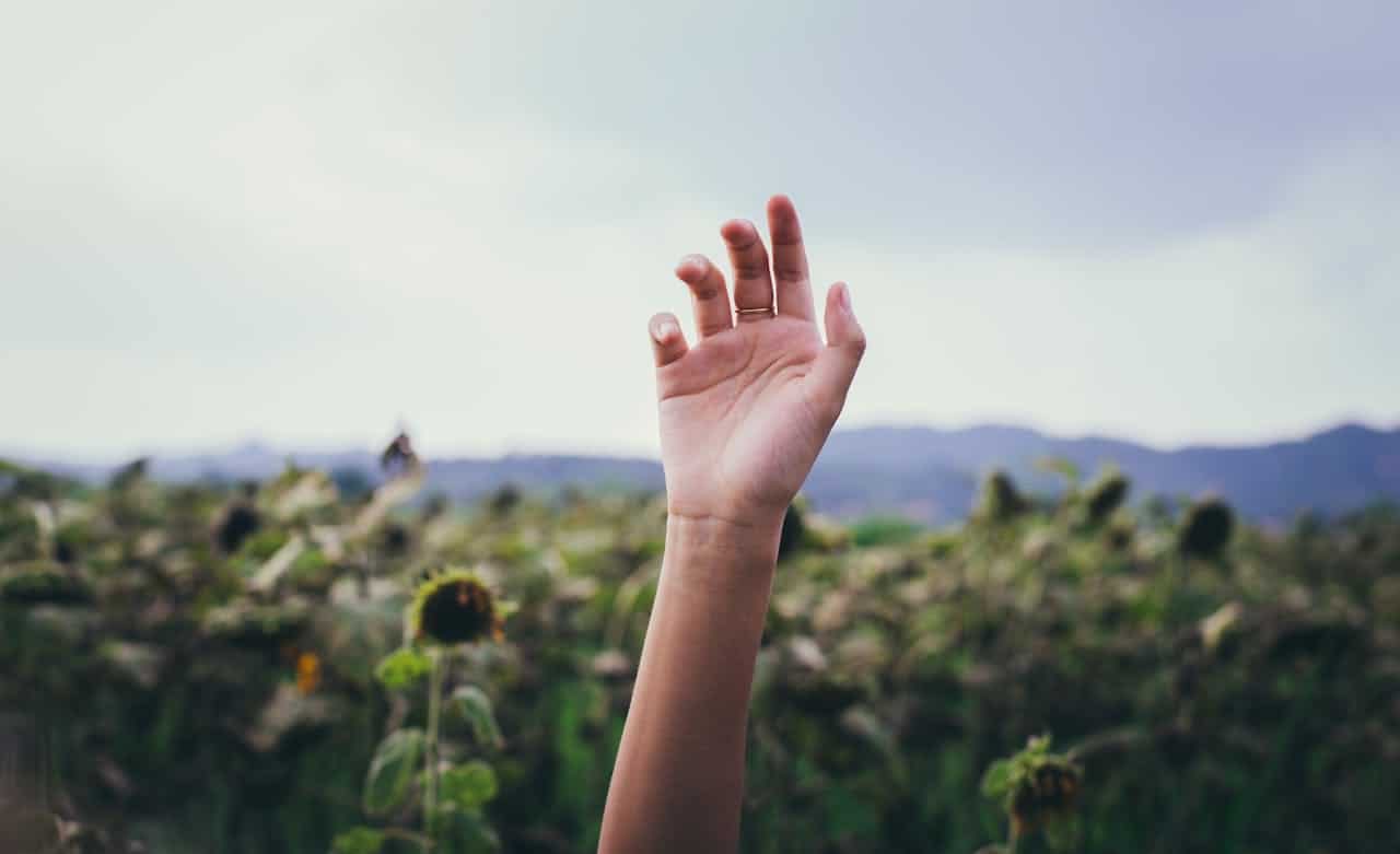 Hand raised in nature symbolizing independence and daily life function supported by occupational therapy and physical therapy.
