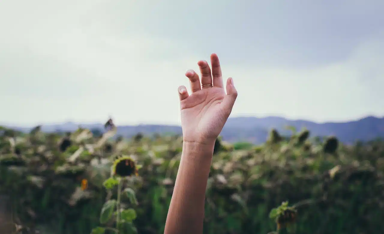 Hand raised in nature symbolizing independence and daily life function supported by occupational therapy and physical therapy.
