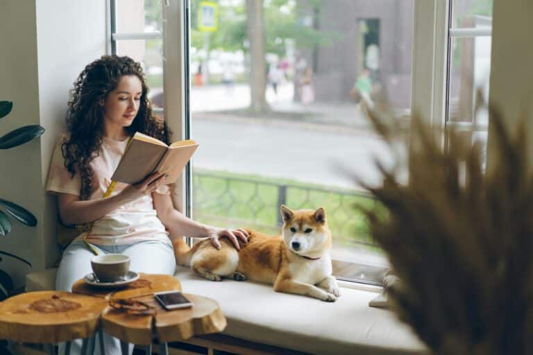 Sensory-friendly therapy setup with sensory tools OT recommends, including soft lighting, headphones, and calming objects